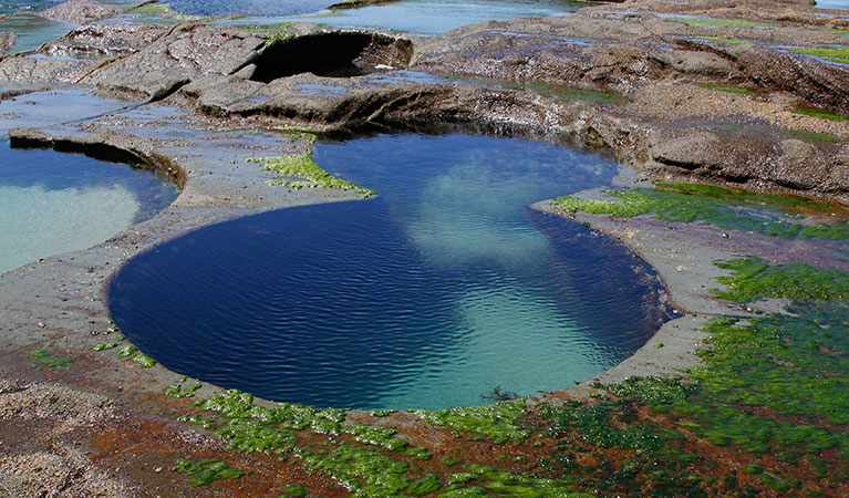 figure-eight-pools-north-view.jpg