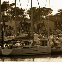 2013年の軌跡:マット・バンティング