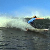 2013年度WCTウイメンズNo.12～17：ニューフェイス一覧