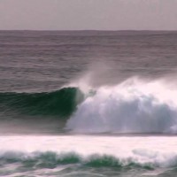 2013年度WCTメンズno.9：ジョシュ・カー