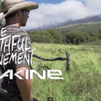 サーフスタイル:マット・メオラ