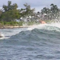 レイトシーズンのマカロニ