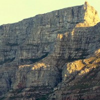 南アフリカ出身の大型新人:マイケル・フェブラリー