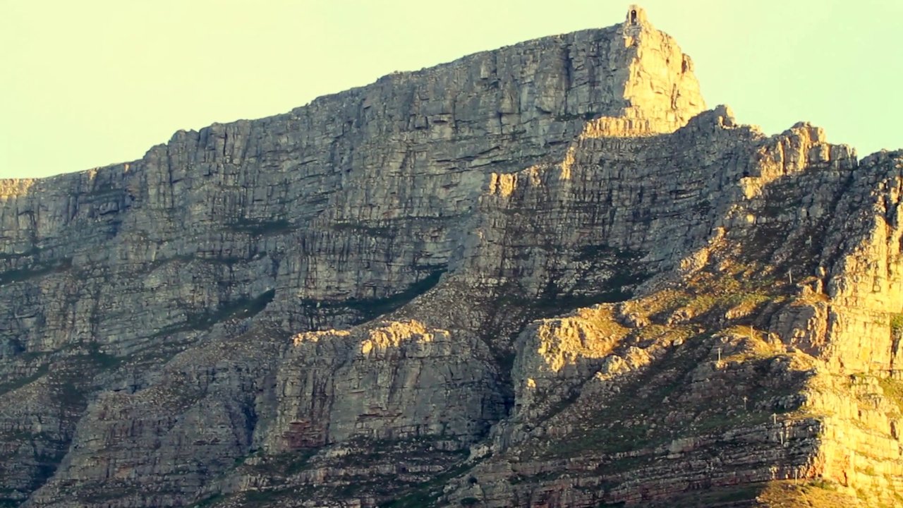 南アフリカ出身の大型新人：マイケル・フェブラリー