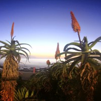 2014年度ASPメンズワールドツアーの年間スケジュール一部変更