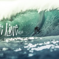 濃いキャラを集めたフォックスライダーによるハワイでのフリーセッション