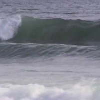 2013年度WCTメンズno.30:トラヴィス・ロギー