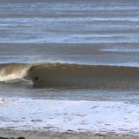 年に数回しか覚醒しないイギリスのスーパーレフトハンダー