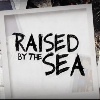 コフィー家のライフスタイル&ロードトリップ