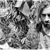 ホームでくつろぐフリーサーファーの日常：デイヴ・ラストヴィッチ