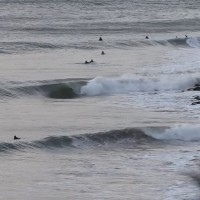 タスマニアのスモールチューブ疑似体験