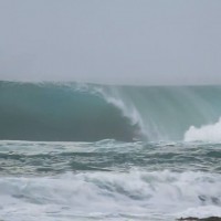 レギュラーフッター憧れのニアスへ：マーティ・パラディシス