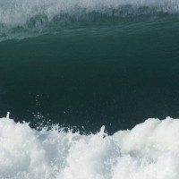 デーン・レイノルズ&ヤディン・ニコルのフリーサーフィン動画@カリフォルニア