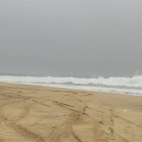 進め!ケパ・アセロ:アフリカ編5