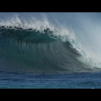 WA州のファンウェイブを楽しむアリッツ・アランブル