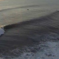 バリ・ビッグ・エコ・ウィークエンドに開催されたウルワツ・チャレンジ