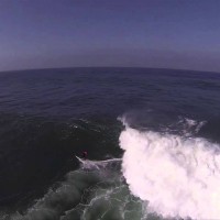 シルバーコーストinポルトガル:エピソード1