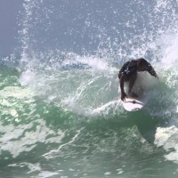 2014年度ASPメンズワールドツアー第八戦ハーレー・プロ・アット・トレッスルズ:二日目ハイライト