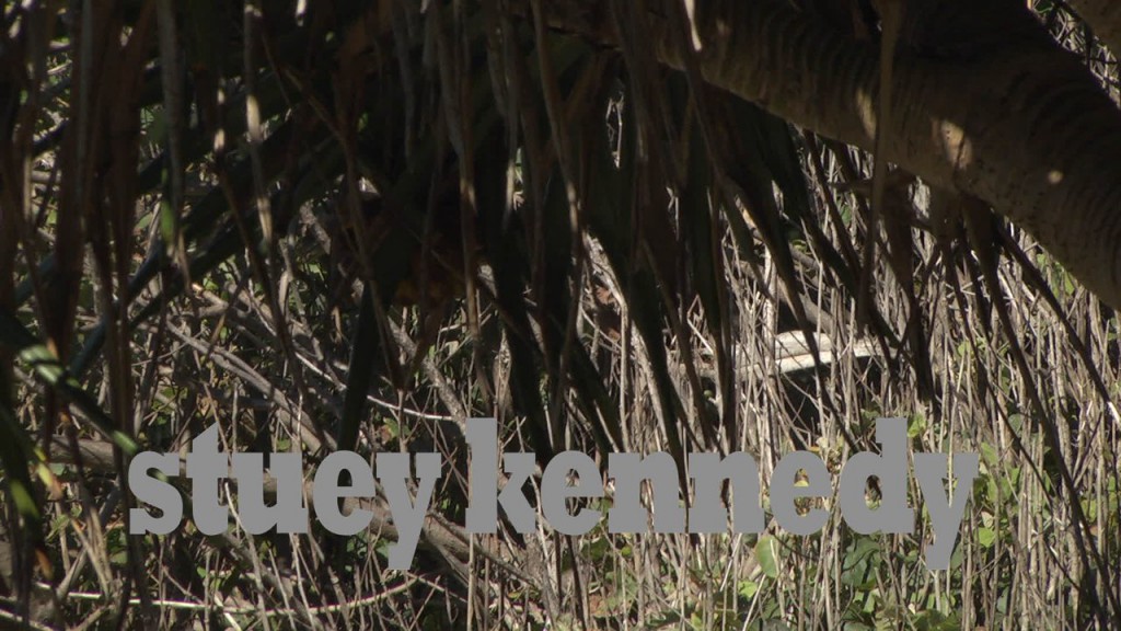 2014年8月に撮影されたスチュアート・ケネディのフリーサーフ映像