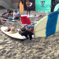 自分で作り上げたセルフシェイプボードで参加するサーフコンテスト