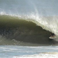 14歳のアメリカンサーファー:スティーヴィー・ピットマン