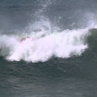 2014年度トリプルクラウン第一戦リーフ・ハワイアン・プロ:初日ハイライト