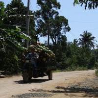 海南島で生まれたサーフコミュニティを4年振りに再訪：マーク・マシューズ