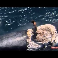 ちょっとした遊びのつもりが気付いたらサメに取り囲まれることに