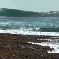 進め!ケパ・アセロ:ラテンアメリカ編1