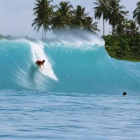 サーフムービー「TEEN AGE」で未使用のメンタワイ映像