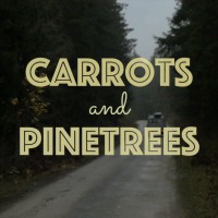 ガソリンの代替燃料として使われる地球に優しいバイオガス