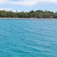 オールラウンドなブラジリアンサーファーのメンタワイトリップ:ティアゴ・カマラオ