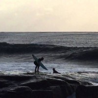 岩場で転倒するサーファー&爆笑で見守る仲間