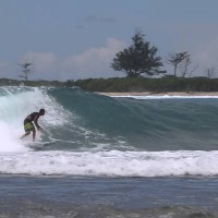 アーリーシーズンのマカロニでフリーサーフ：ジョアン・ドゥル