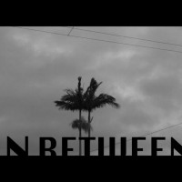 地元レノックスヘッドでフリーサーフ：アダム・メリング