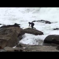 サーフィンにまつわるアクシデント映像2連発