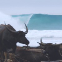 北スマトラへサーフトリップ：ギャレット・パークス&トレン・マーティン