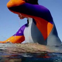 サリー・フィッツギボンズ起用のランドローバーCMと昨今のスポンサー事情