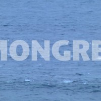 カレンやケリーも気に入る盟友トモのボードで来年はツアー入り!?:スチュアート・ケネディ