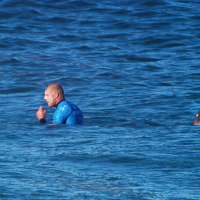 世界で発生した過去のシャークアタック件数&安全を確保するための対策