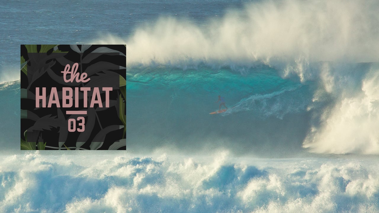 マウイ島ジョーズを代表するアルビー・レイヤーのチャージ特集