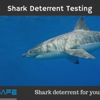 豪でホットなボードに内蔵させるシャークアタック防止商品：サーフセーフ