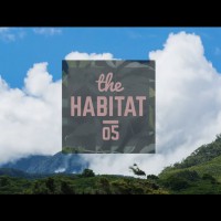 アルビーがエアーで片足を抜く妙技ありのマウイ島ローカルによるサマーセッション