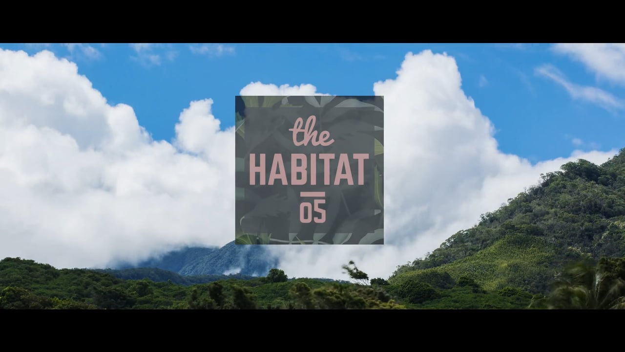 アルビーがエアーで片足を抜く妙技ありのマウイ島ローカルによるサマーセッション