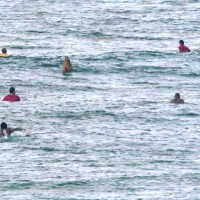 2015年度ウイメンズWQSランキングがほぼ確定&新人ツアーサーファーをピックアップ