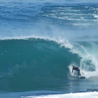 昨年ケリーがチャージしたポルトガルのスラブに登場のラスタ&ノア