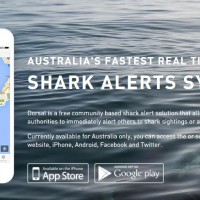 オーストラリア国内でサメの目撃情報をチェックできるアプリ「Dorsal」