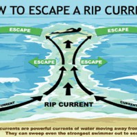 海で安全に遊ぶために知るべき離岸流(リップカレント)のメカニズム