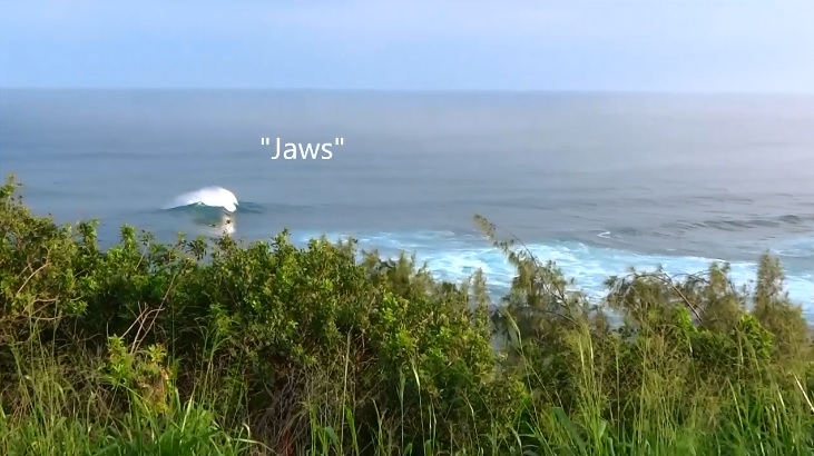 ジョーズ　ピアヒ　マウイ島