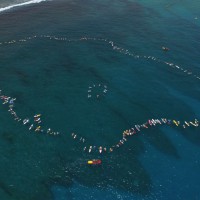 シャークアタックが多発したレユニオン島で待望のサーフィン禁止令解除